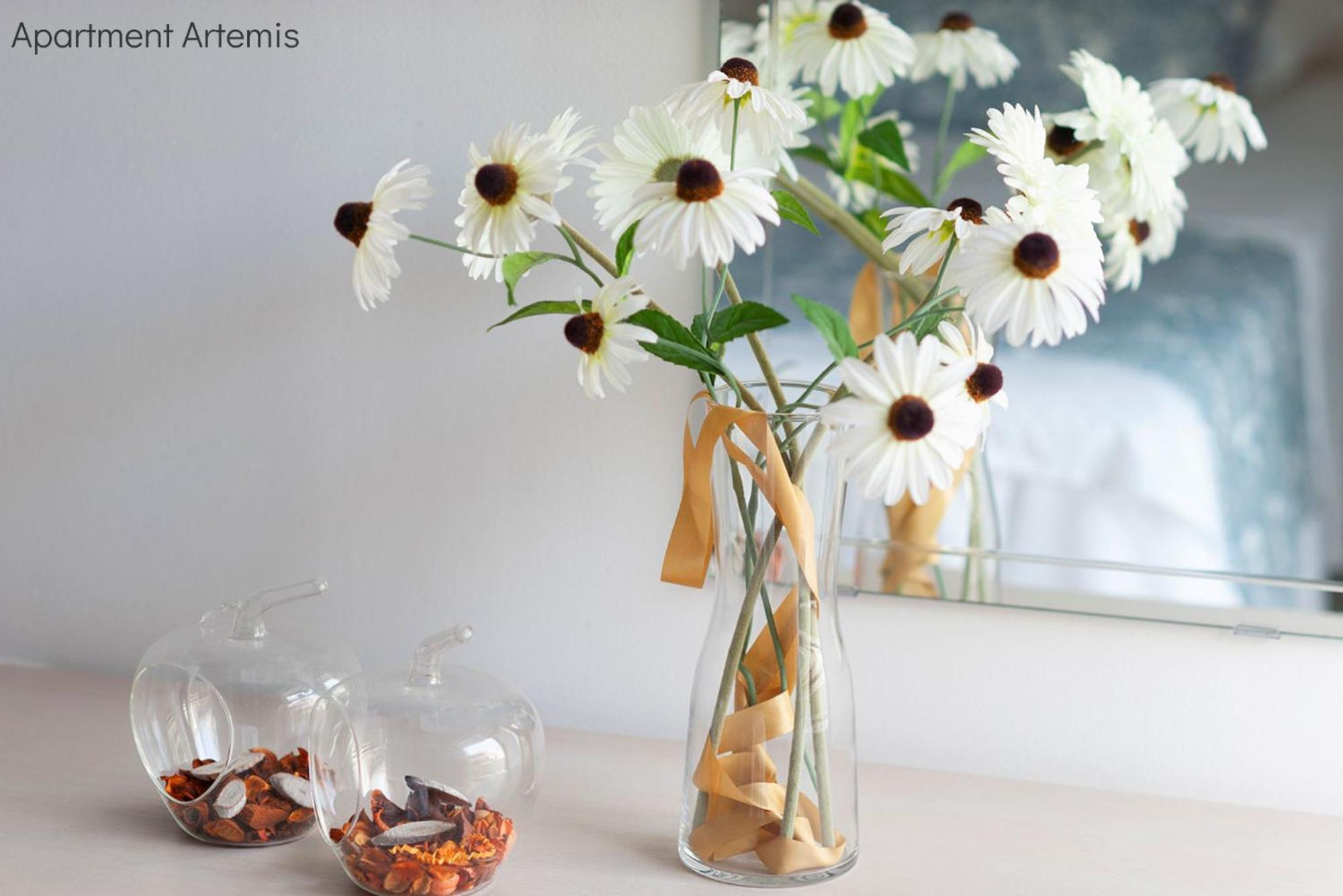 Apollo & Artemis By Heloni Apartments Atina Dış mekan fotoğraf